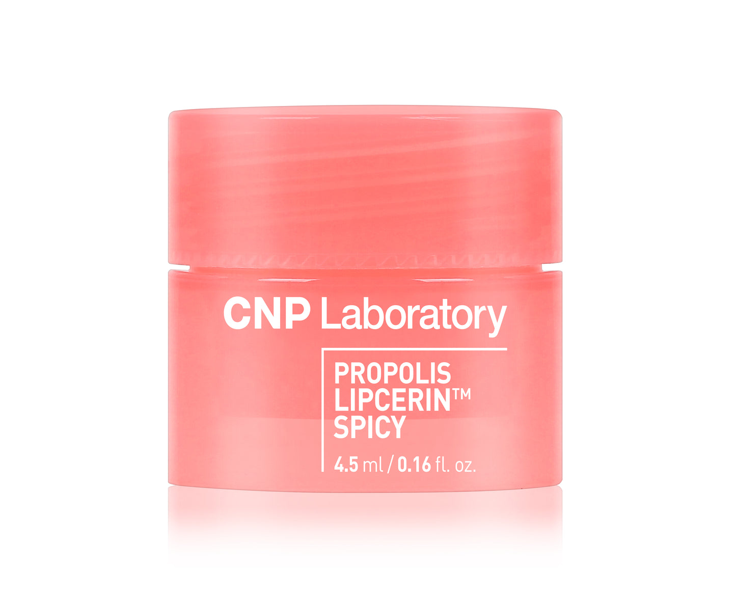 CNP Propolis Lipcerin Miniature Set