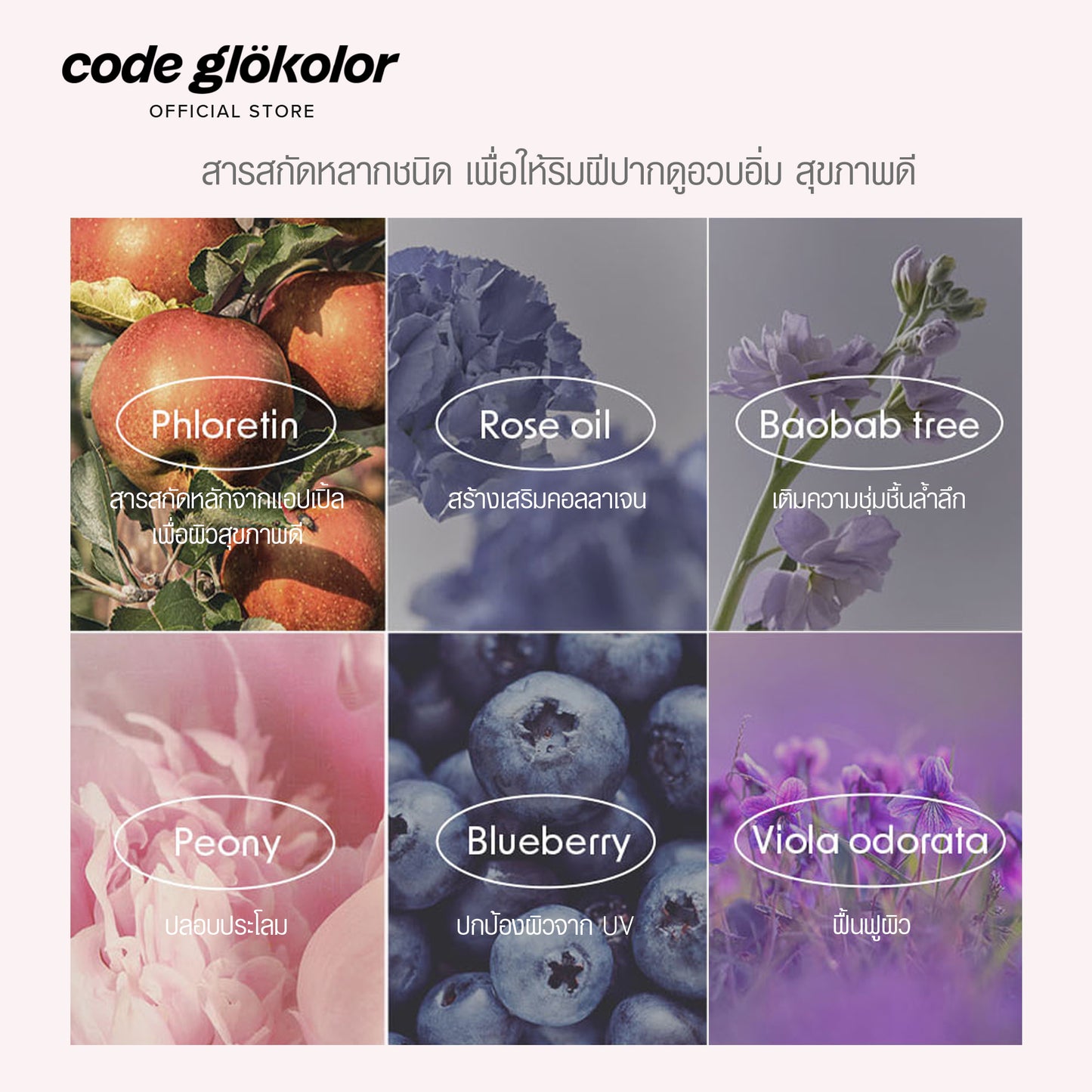 CODE GLOKOLOR COLOR LIPCERIN
