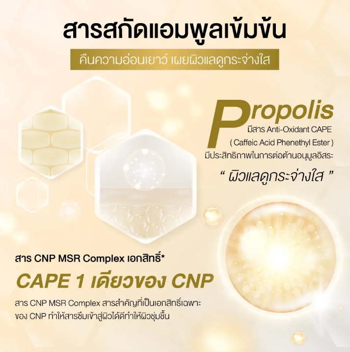 CNP LABORATORY Propolis Energy Active Ampule 15ml, 35ml