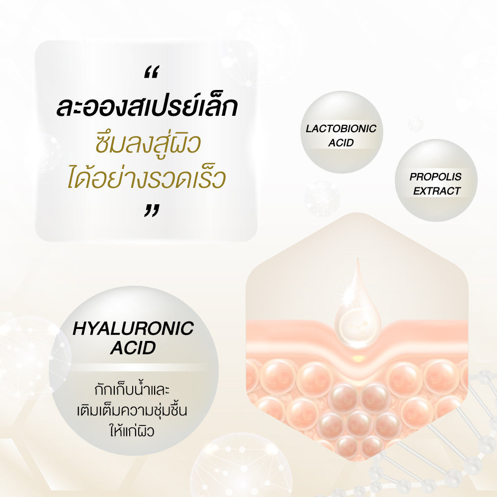 CNP LABORATORY Propolis Energy Ampule Mist 50ml